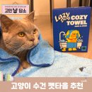 코지그루밍 | 고양이 목욕 후 털말리기 쉬운 수건 초극세사 펫타올