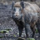 동해선벡스코역 이미지