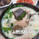 대구 달성군 화원 맛집 소문난돼지국밥 점심
