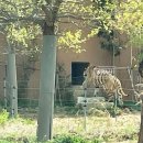 덕진-110 | 전주 가족 나들이 추천 동물원+놀이공원 한 번에 즐기기 이용 꿀팁