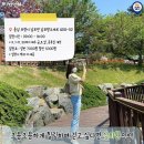 숲속의바다