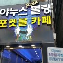 야누스 포켓볼 이미지