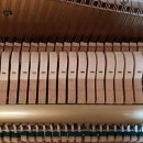 갑오마을3단지대동아파트 이미지