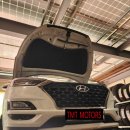 타이어1993 이미지