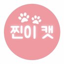 찐이캣 이미지
