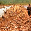 한반동농장 이미지