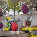 무주농특산물 이미지