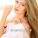 솔잎향기 이미지