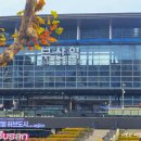 카푸롱 | 요니스4기 도전!, 드디어 주말테니스, 당일치기 부산/ 12월 셋째주 일상기록