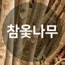 대성자연농원 이미지