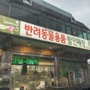 그린펫클럽 이미지