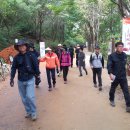 장동목장 이미지