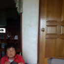 다드림푸드 이미지