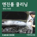 [카앤쿡] 대전 엔진룸 냄새, 악취 제거 (고양이 사체) 특수 세차 후기 _ 현대 투싼