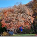 인민군사령부막사 이미지