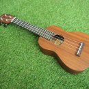 우쿨렐레연주 이미지