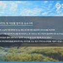 꿈과희망법률사무소 이미지