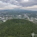 우리마을 생태해설사 현장실습과정 | 문화와 예술이 공존하는 제주 저지곶자왈과 저지오름⛰️