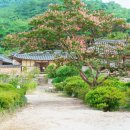 사랑방씨앤에스노동조합 | 조선 양반 가옥의 극치와 미학, 논산 명재고택