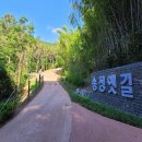 송정 이미지