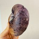 롯데백화점 평촌점 | 범계역빵집 서울3대베이글 베이글리스트 X 라쿠르뜨 서울 롯데백화점 평촌점 방문 후기
