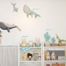 뚤레뚤레 이미지