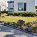 주리Sea 협재 이미지