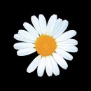 CU행신18단지점 | [지드래곤 × CU] 피스마이너스원 하이볼 블랙&amp;레드