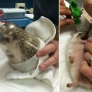 리더스 동물병원 이미지