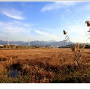 대명유수지 - 3898 | 대명유수지