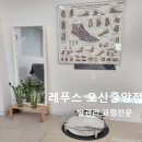 레푸스오산 이미지