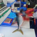 주문진좌판풍물시장 이미지