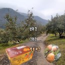 산과강