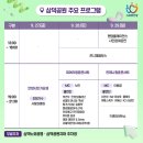 몽땅제과상점 | 2024 안양춤축제 기본정보, 라인업, 드론쇼까지! 생생한 리뷰