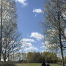 올바른무역 | 🇫🇮 14ㅣ핀란드 대학(SeAMK) 수업 솔직 후기 및 수강신청 변경 기록