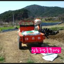 봄뜰에농장 이미지