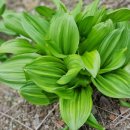 종보농장 이미지