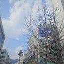 산복다방 | 산본 속눈썹 더뷰티 속눈썹펌 후기 (+C컬,수분클리닉, 블랙틴팅)