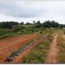 거전마을 이미지