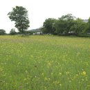 황룡어린이공원 이미지