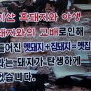 멧집찌개 네이버블로그