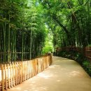 남도한복 이미지