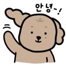배곧일리오애견미용