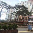 소안초등학교, 하늘유치원 이미지