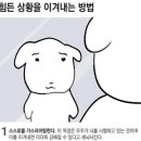 [투명재교정 5주차] 하드 4주째 종료~!~!~! 재교정 1번에 끝내다,,,