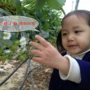 세은농장 이미지