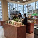 종로-신영-종로-영-246 | 올리브베러 광화문 매장 올리브영 올리브베러 1호점 웰니스 방문 후기