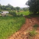 매수1리마을회관 이미지