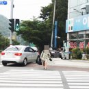 주약동이상약국 이미지