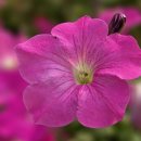 남천초등학교장 이미지